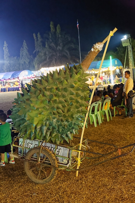Fête de écoles-004